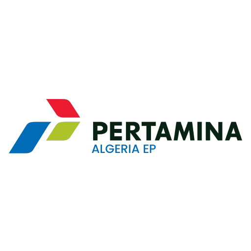 Partner 5